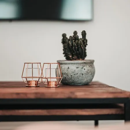 Zilter - Groot Duplex Met Terras Apartment *