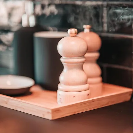 Zilter - Groot Duplex Met Terras * Ostend