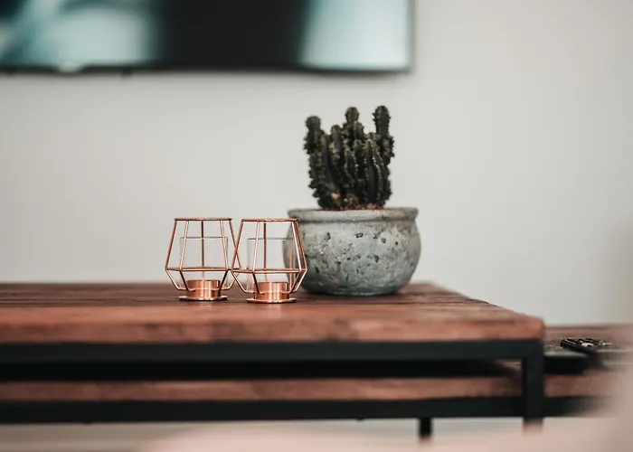 Zilter - Groot Duplex Met Terras Apartment *