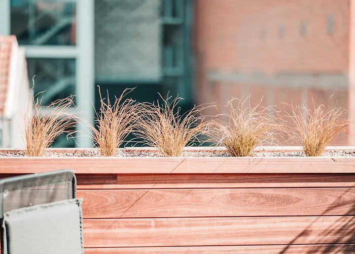 公寓 Zilter - Groot Duplex Met Terras 奥斯滕德