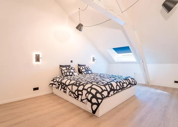 Zilter - Groot Duplex Met Terras * 奥斯滕德