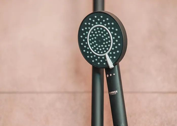 Zilter - Groot Duplex Met Terras 公寓 奥斯滕德