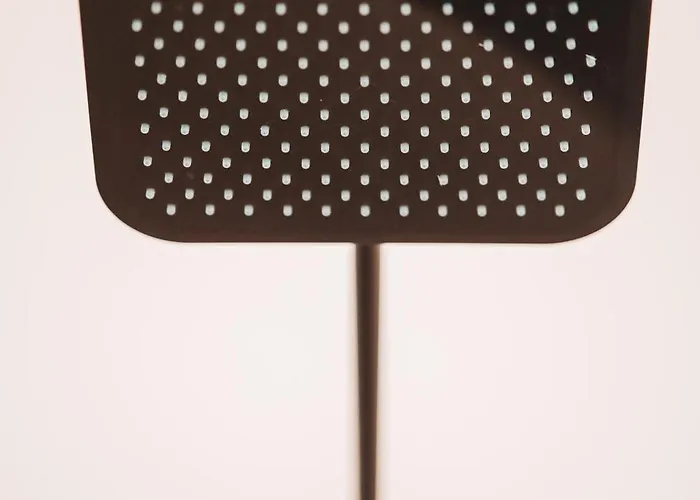 公寓 Zilter - Groot Duplex Met Terras 奥斯滕德