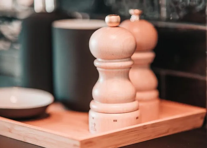 Zilter - Groot Duplex Met Terras * 奥斯滕德